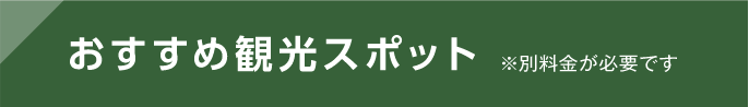 おすすめ観光スポット ※別料金が必要です