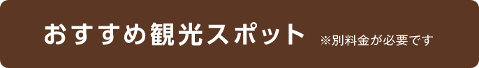 おすすめ観光スポット ※別料金が必要です