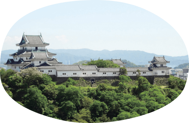 >和歌山城の画像